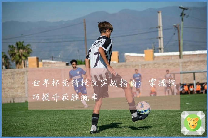 世界杯竞猜投注实战指南：掌握技巧提升获胜概率