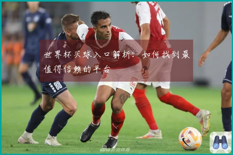 世界杯买球入口解析：如何找到最值得信赖的平台