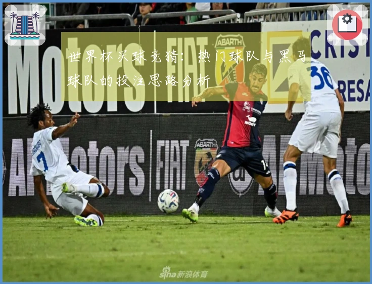 世界杯买球竞猜：热门球队与黑马球队的投注思路分析