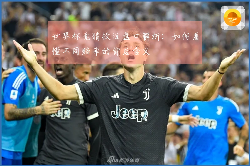 世界杯竞猜投注盘口解析：如何看懂不同赔率的背后含义