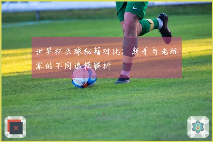世界杯买球秘籍对比：新手与老玩家的不同选择解析